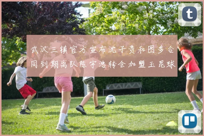 武汉三镇官方宣布沈子贵和图多合同到期离队陈宇浩转会加盟玉昆球队