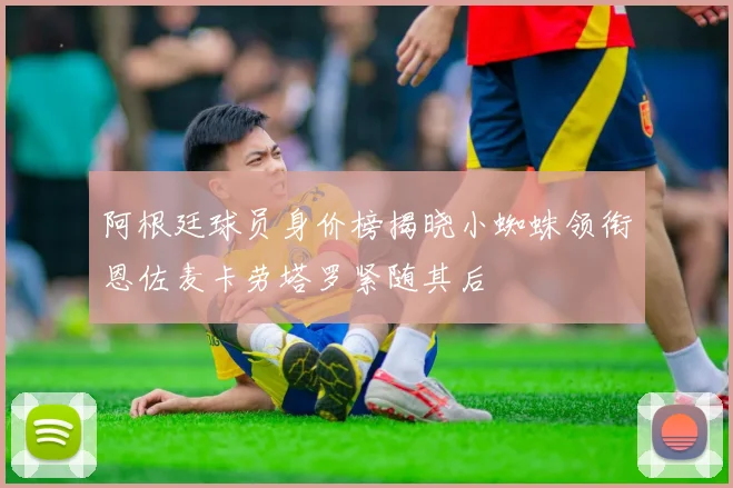 阿根廷球员身价榜揭晓小蜘蛛领衔恩佐麦卡劳塔罗紧随其后