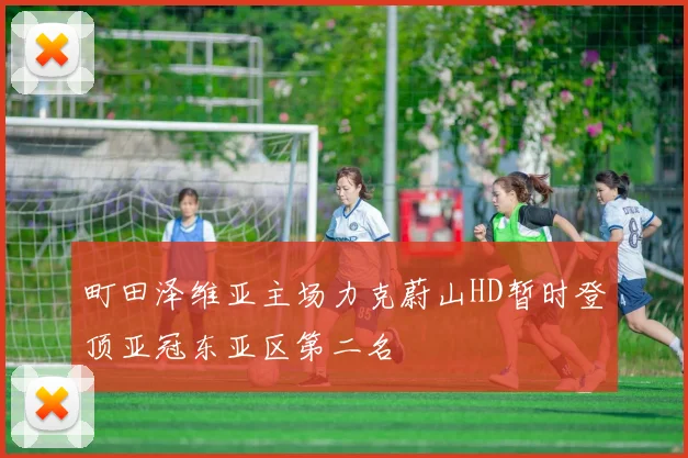 町田泽维亚主场力克蔚山HD暂时登顶亚冠东亚区第二名